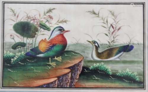 Chinese pith or rice painting,