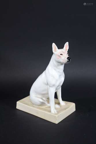 Royal worcester bull terrier