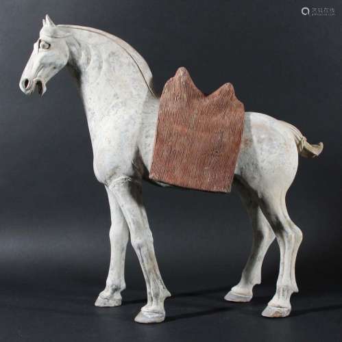 Chinese grey pottery figure of a horse,tang dynasty, standing almost four
