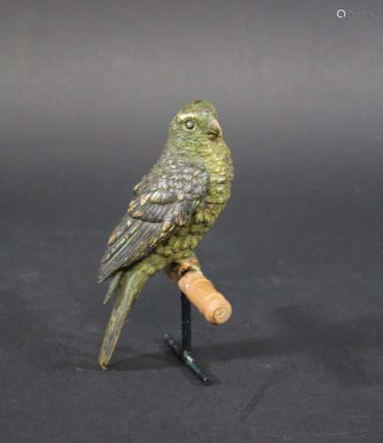 Cold painted bronze parrot
