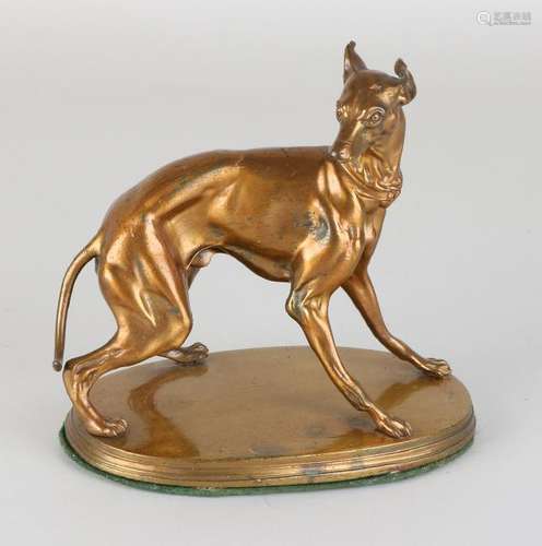 Antique bronze greyhound dog. Environment PJ Mene.