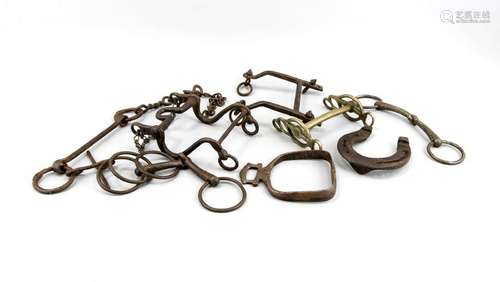 Eight times old / antique horse bits + one horseshoe.