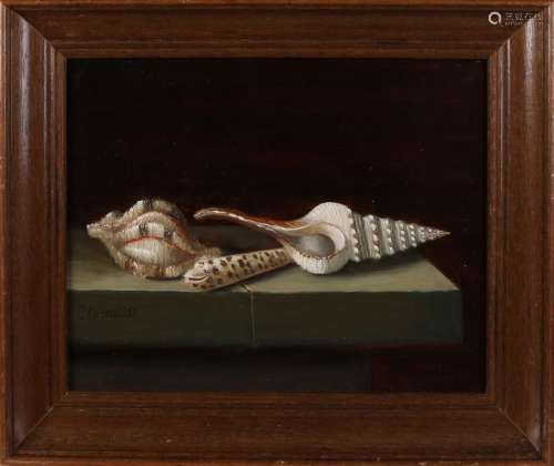 C. Cornelisz. 21st century. Still life with shells. Oil