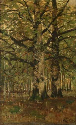 Monogram Th. B. Circa 1880. Birch forest. Hague School.