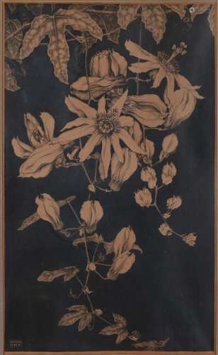 Anton Pieck. 1895 - 1987. Hand signed. Passion flower.