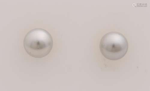 Yellow gold earrings, 585/000, with white gray pearl,