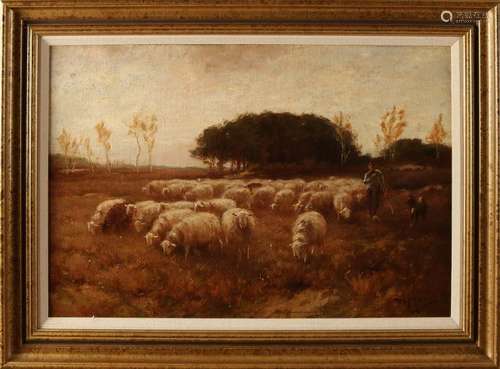 Martinus Nefkens. 1866-1941. Coming sheep with