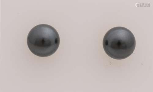 Yellow gold earrings, 585/000, with black pearl, ø