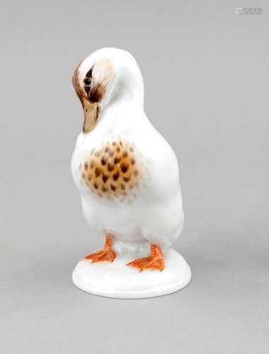 A drake, Meissen, mark after 1934, 1st quality,