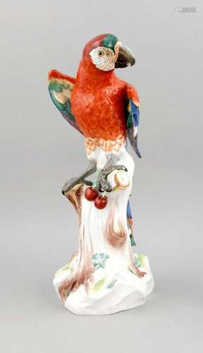 A large macaw on a branch, Meissen, mark after 1934,