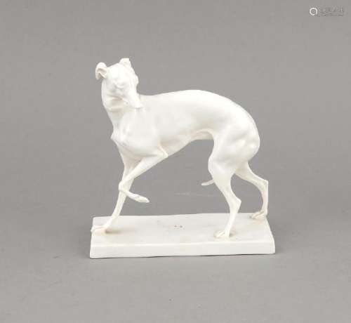 Grey Hound, Nymphenburg, beg. 20th century, model no.