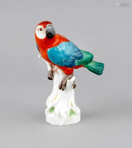 A parrot perching on a branch, Meissen, first quality,