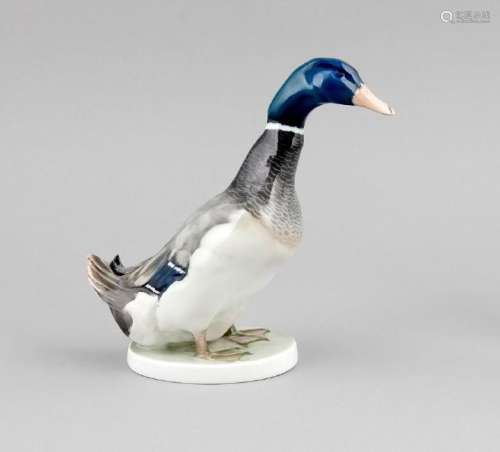 A drake, Rosenthal, Selb, 1920s, designed by Willy