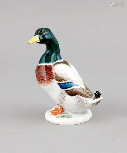 A duck, Meissen, mark after 1934, 1st quality, designed