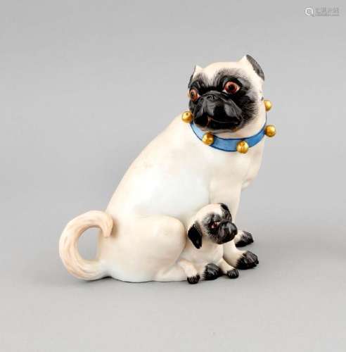A seated pug lady with collar and puppy, Meissen, 1977,