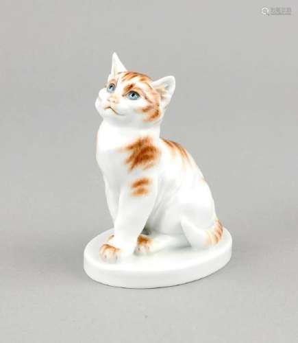 A young cat, Meissen, 21st century, designed by Erich