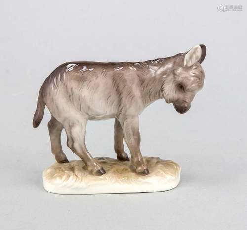 Young donkey, Nymphenburg, mark 1976-1997, design Mene