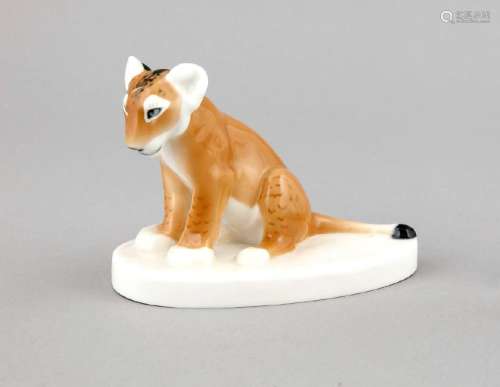 Young lioness, Meissen, mark after 1934, 1st choice,