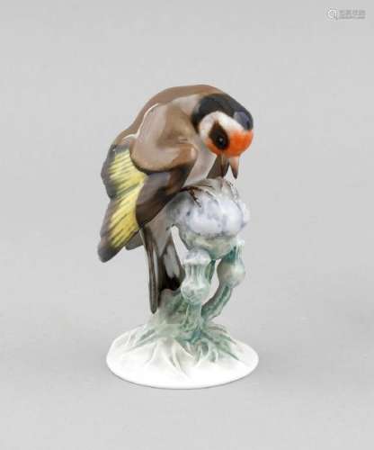 A goldfinch, Rosenthal, mark after 1957, modelled by