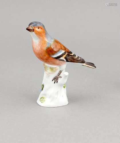 Finch, Meissen, c. 1980, 1 W., designed by Johann