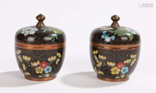 Two Chinese cloisonne pots and covers, in black ground with flower head design, 6.5cm high, (2)