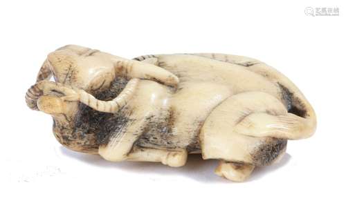 Japanese Edo period netsuke, the bone netsuke depicting a recumbent Ox with halter to it's nose, 6cm