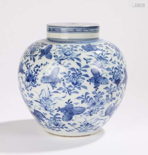 Chinese Tongzhi jar decorated with butterflies and plum blossom denoting beauty allied to longevity,