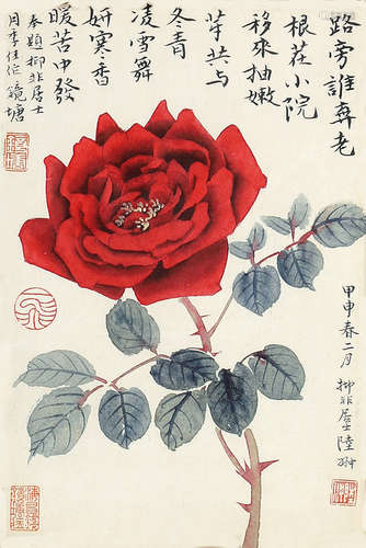 陆抑非 月季花