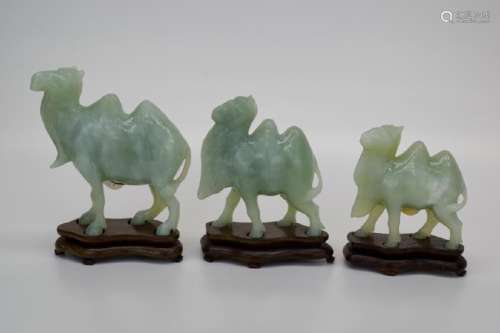 THREE CHINESE CARVED CELEDON JADE CAMELS