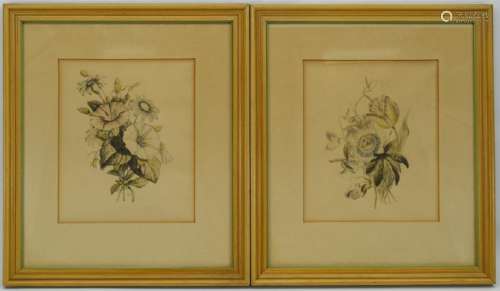 VINTAGE IBFCO FLORAL BOTANICAL PRINTS