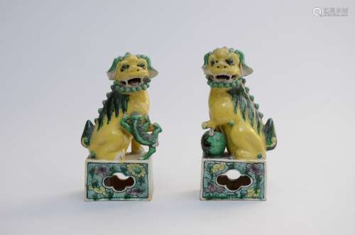 A pair of small foo lions in Chinese porcelain