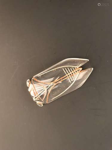 Chinese Crystal Cicada