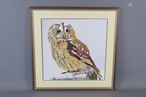 Terry Devereux Mixed Media Painting of a Tawny Owl, approx 40 x 39 cms, glazed and framed