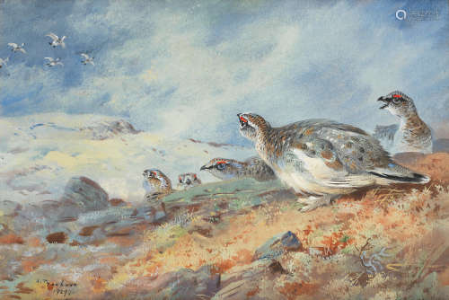 Ptarmigan in the snow Archibald Thorburn(British, 1860-1935)
