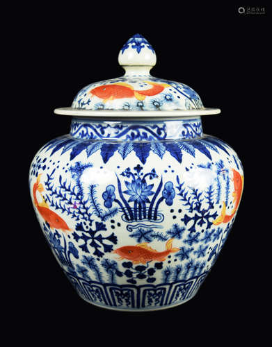 A Chinese Blue and White Porcelain with Above-Glaze Red Coloured General Jar with Fish and Seaweed Patterns