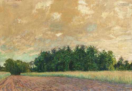 Arthur Illies(Hamburg 1870 - Lüneburg 1952)Feld und WaldrandÖl/Karton, 48,5 x 66,5 cm, l. o. sign.