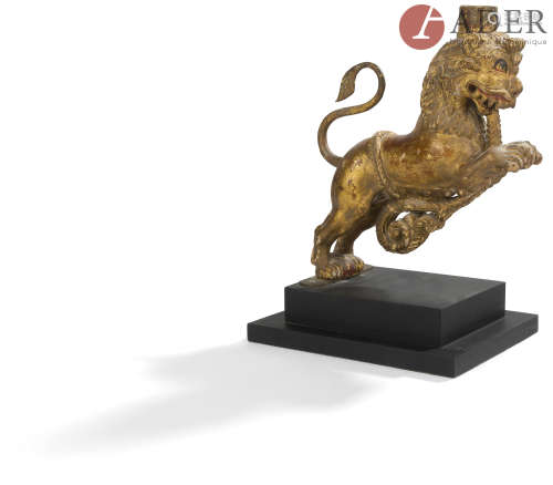 BIRMANIE - XVIIIe siècle Lion en bois sculpté laqué or, dressé sur ses pattes arrières, une corde