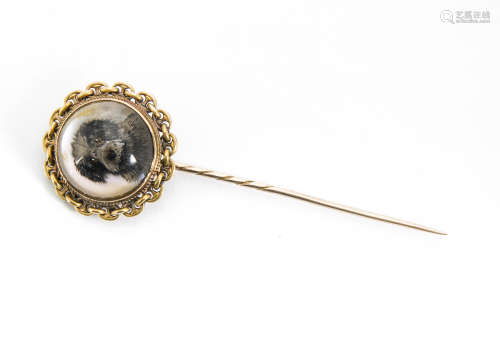 A 19th Century Essex reverse painted rock crystal stick pin, long haired dog mask, on a gold chain