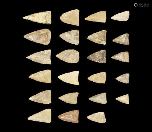 North American Florida Arrowhead Group