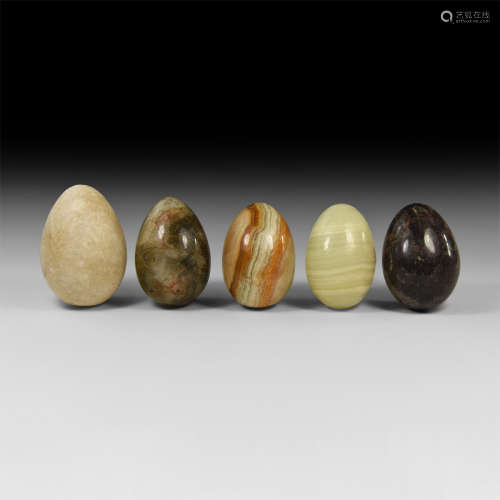 Natural History - Polished Large Egg Group