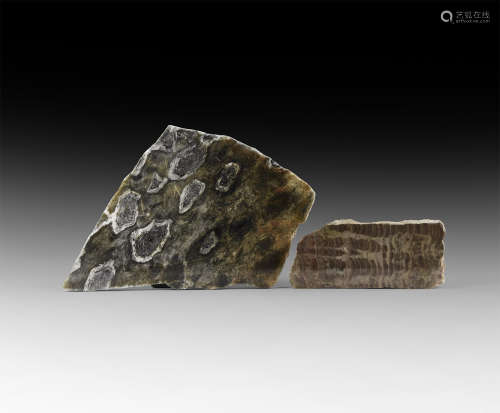 Natural History - Stromatolite Polished Slab Group