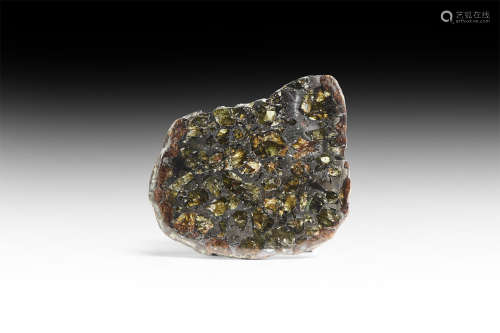 Natural History - Polished Seymchan Meteorite Section