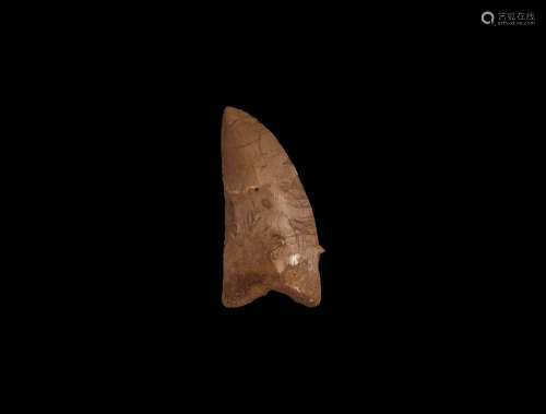 Natural History - African T-rex Fossil Tooth