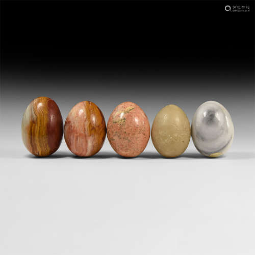 Natural History - Polished Egg Group
