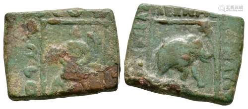 Ancient Greek Coins - Indo-Greek - Elephant Bronze