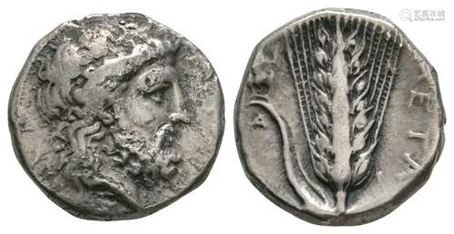 Ancient Greek Coins - Lucania - Metapontum - Zeus Nomos