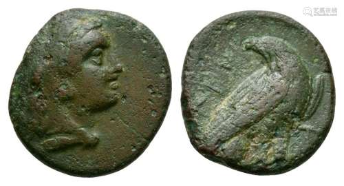 Ancient Greek Coins - Troa - Abydos - Eagle Bronze