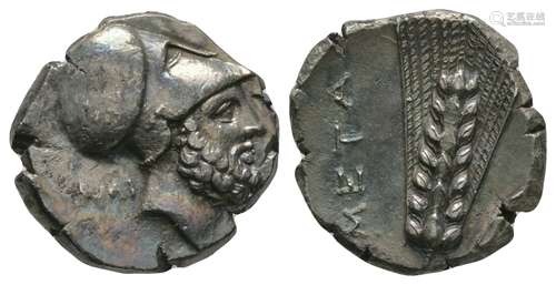 Ancient Greek Coins - Lucania - Metapontum - Leukippus Nomos