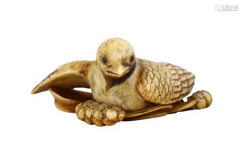 AN UNUSUAL IVORY NETSUKE OF A BIRD. 19th Century. A pigeon rested on millet’s plants, with one