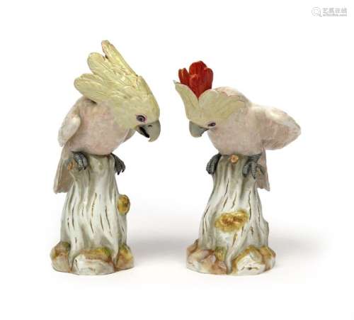 A pair of Meissen figures of cockatoos 19th centur...;
